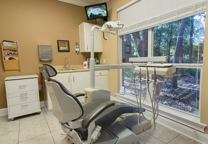 Dental chair with lovely forest view
